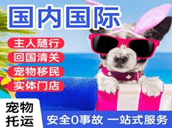 常州奔牛机场快递国际宠物托运 【国